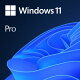 Windows 11 Pro 64Bit DSP 日本語 DVD