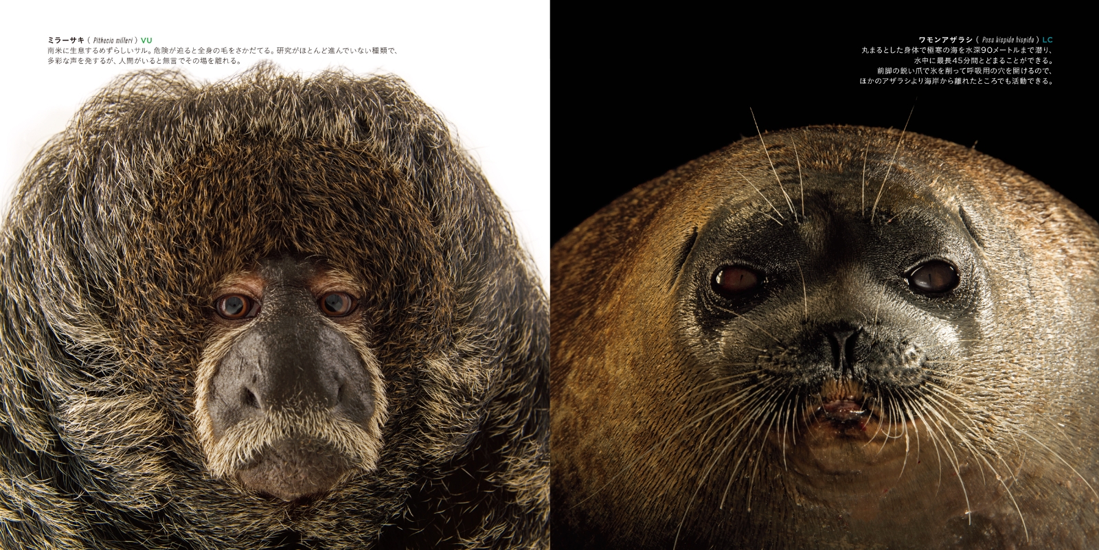楽天ブックス: PHOTO ARK 生命の賛歌 - 絶滅から動物を守る撮影