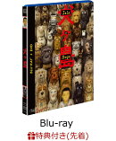【先着特典】犬ヶ島 2枚組ブルーレイ&DVD(大友克洋コラボイラストポストカード付き)【Blu-ray】