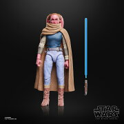 STAR WARS　ハズブロ（Hasbro）STAR WARS スター・ウォーズ ブラックシリーズ デヴォン・イザラ、『スター・ウォーズ：モール／シャドウ・ロード』プレミアム コレクション用 15 cm アクションフィギュア G2584 正規品