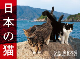 楽天市場 カレンダー 猫 岩合光昭の通販 楽天市場 カレンダー 猫 岩合光昭の通販