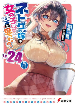 ネトゲの嫁は女の子じゃないと思った？　Lv.24 DLC(1)（24）