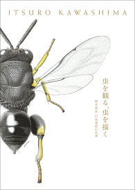 虫を観る、虫を描く 標本画家 川島逸郎の仕事 [ 川島 逸郎 ]