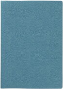 ESダイアリー2020-1月　A6　見開き1ヶ月　ノート　スカイブルー