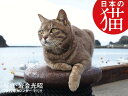 2022年カレンダー 日本の猫 [ 岩合　光昭 ]