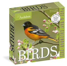 Audubon Birds Page-A-Day(r) Calendar 2025: The World's Favorite Bird Calendar AUDUBON BIRDS PAGE-A-DAY CAL 2 [ National Audubon Society ]