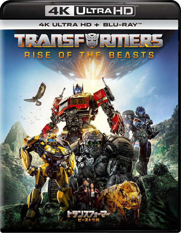 Blu-ray - Transformers Quadrilogia (4 Discos) - paramount - Livros de  Literatura Juvenil - Magazine Luiza