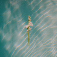 In Each Moment [ Goldmund ]