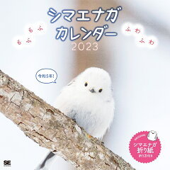楽天ブックス まんまるかわいい雪の妖精 シマエナガちゃん Calendar 23 小原玲 本