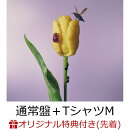 【楽天ブックス限定先着特典】おいしいパスタがあると聞いて (通常盤 CD＋Tシャツ (Mサイズ))＜楽天ブックス盤＞(オ…