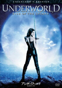 ����������� �ӥ��� ���쥯�����������ǥ������