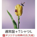 【楽天ブックス限定先着特典】おいしいパスタがあると聞いて (通常盤 CD＋Tシャツ (Lサイズ)) ＜楽天ブックス盤＞(…