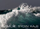 NAMI_波
