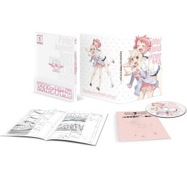 Fate��kaleid liner �ץꥺ�ޡ������ �ɥ饤���� ��1���ڸ����ǡ�