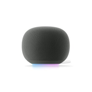 Google Home �X�s�[�J�[ Hazel