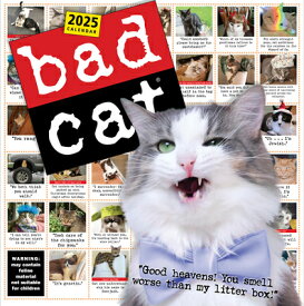 Bad Cat Wall Calendar 2025: Celebrating the Misfits of the Feline World BAD CAT WALL CAL 2025 [ Harry Prichett ]