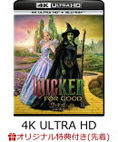 【楽天ブックス限定先着特典】ウィキッド 永遠の約束 4K UHD ＋ ブルーレイ セット【4K ULTRA HD】(アクリルキーホルダー)