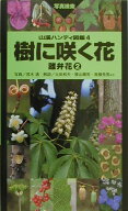 樹に咲く花（離弁花 2）2版 （山渓ハンディ図鑑） [ 茂木透 ]