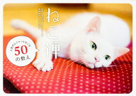 ねこ禅 人生がふニャっとなごむ50の教え [ 菅原　研州 ]