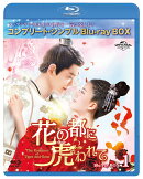 花の都に虎(とら)われて〜The Romance of Tiger and Rose〜 BD-BOX1 <コンプリート・シンプルBD-BOXシリーズ>【期…