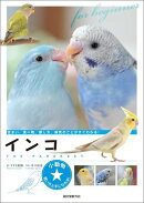 インコ