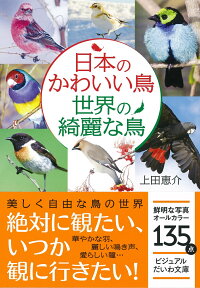 楽天ブックス 日本のかわいい鳥世界の綺麗な鳥 上田恵介 本