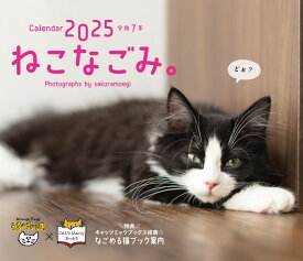 オレンジページ　ねこなごみ。卓上カレンダー2025