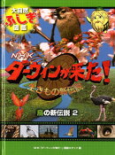 鳥の新伝説（2）