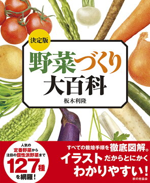 本 美容 暮らし 健康 料理 日別ランキング 野菜作り 楽天ブックス