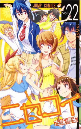 �˥�������22��