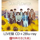 【先着特典】SUNFLOWER (LIVE盤 CD＋2Blu-ray)(オリジナルクリアファイル)
