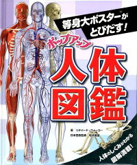 ポップアップ人体図鑑 等身大ポスターがとびだす!