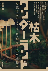 枯木ワンダーランド 枯死木がつなぐ虫・菌・動物と森林生態系 [ 深澤遊 ]