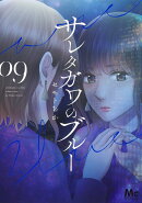 サレタガワのブルー 9