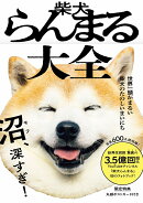 柴犬らんまる大全 - 世界一頭がまるい柴犬のたのしいまいにち -