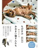 【バーゲン本】ちびすけmeetsおおきい猫さんたち