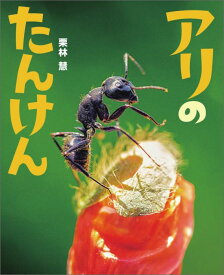 アリのたんけん ぴっかぴかえほん （ぴっかぴかえほん） [ 栗林 慧 ]