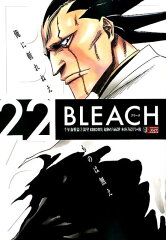BLEACH（22）