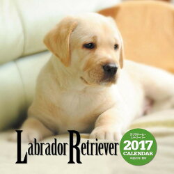 【壁掛】2017年大判カレンダー ラブラドール・レトリーバー