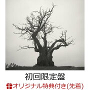 【楽天ブックス限定先着特典】SEKAI NO OWARI 2010-2019 (初回限定盤 2CD＋LIVE BEST DVD)(デカ缶バッジ（76mm）)