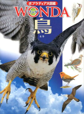 楽天ブックス インターネット活用アイデア101 2 木村義志 本