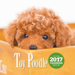 【壁掛】2017年大判カレンダー トイ・プードル