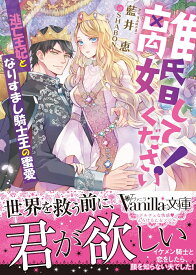 離婚してください！～逃亡王妃となりすまし騎士王の蜜愛～ （ヴァニラ文庫　ヴァニラ文庫　VBL302） [ 藍井　恵 ]