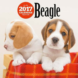【壁掛】2017年大判カレンダー ビーグル