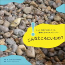 【謝恩価格本】こんなところにいたの?