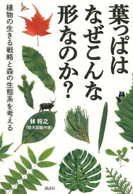 楽天市場 沖縄 植物 図鑑の通販 楽天市場 沖縄 植物 図鑑の通販