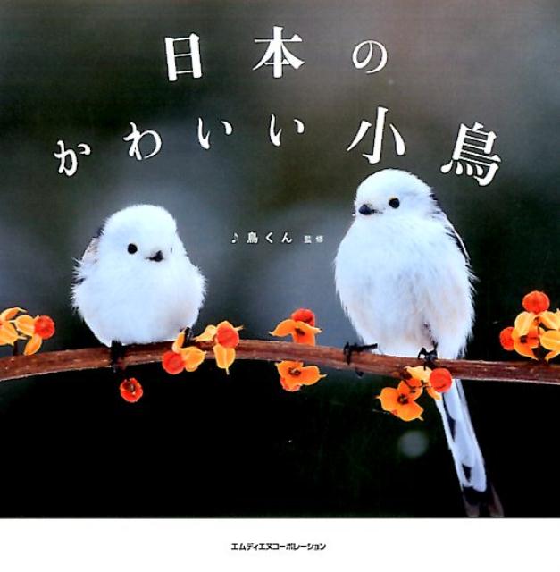 日本のかわいい小鳥 鳥くん