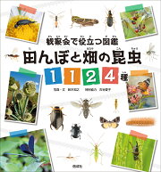 楽天ブックス: 舘野鴻昆虫記 問いかける虫たち（全4巻セット） - 舘野 