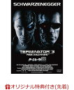【楽天ブックス限定先着特典】ターミネーター3(2L判ブロマイド5枚セット)