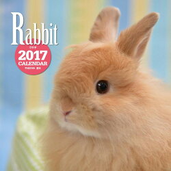 【壁掛】2017年大判カレンダー ウサギ